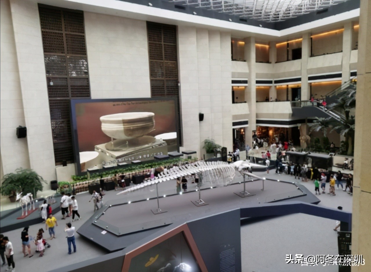 深圳大鹏自驾游十大免费景点推荐,深圳一日游必去的十个免费景点