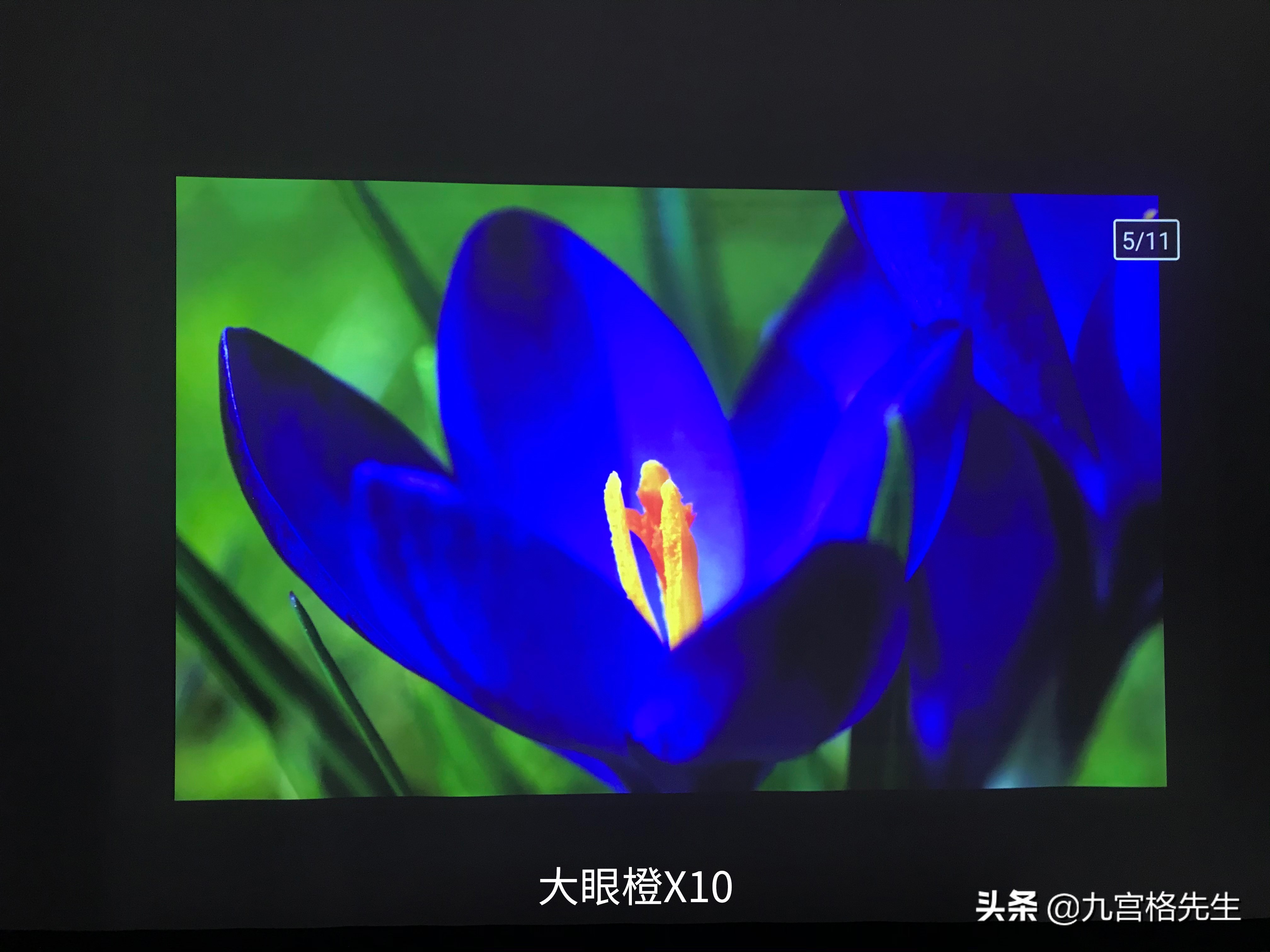 当贝投影仪和大眼橙x10pro,大眼橙x10pro值得入手吗