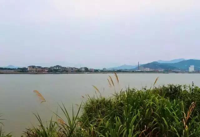 宁波踏青免费好去处,宁波踏青赏花最佳地