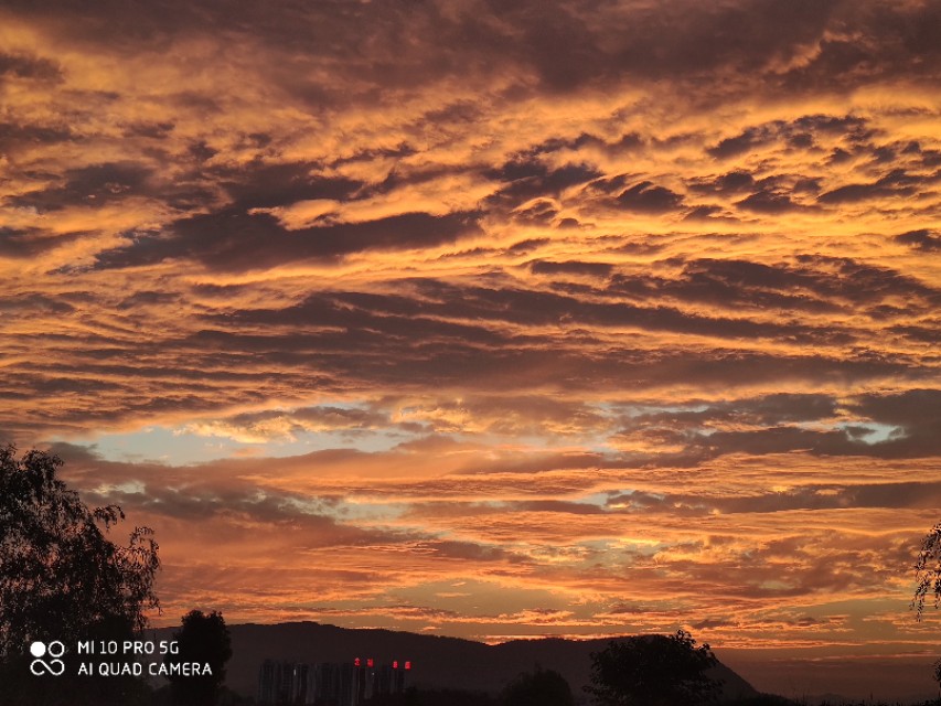 被绿了怎么办复合,被绿了怎么办