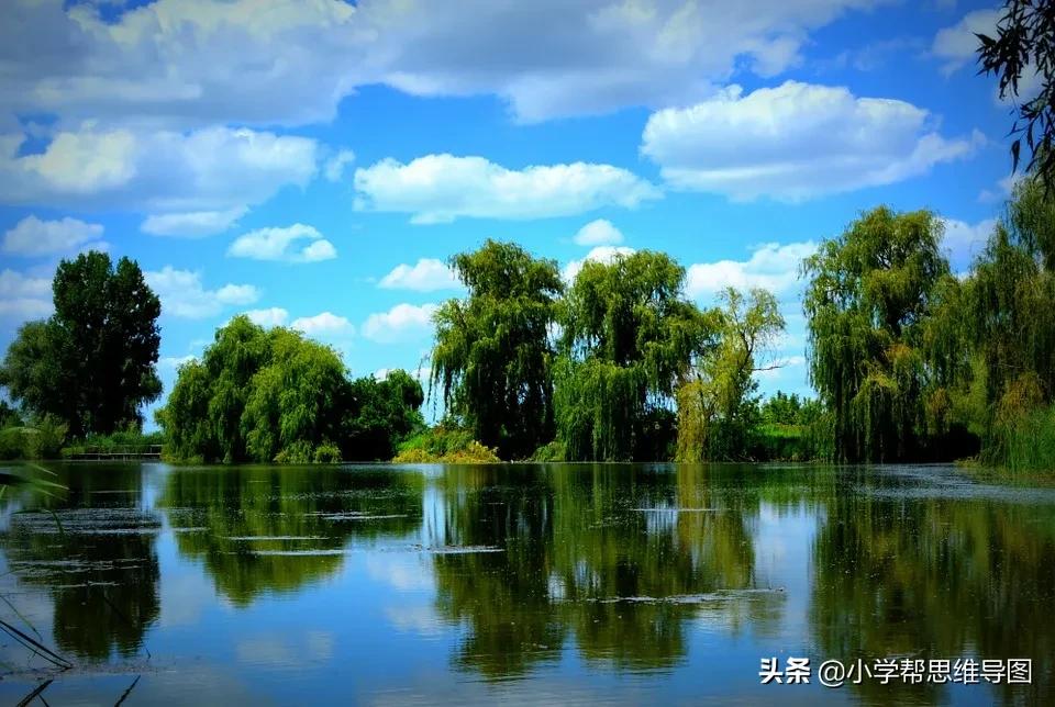 优秀柳树作文400字,优秀范文春天