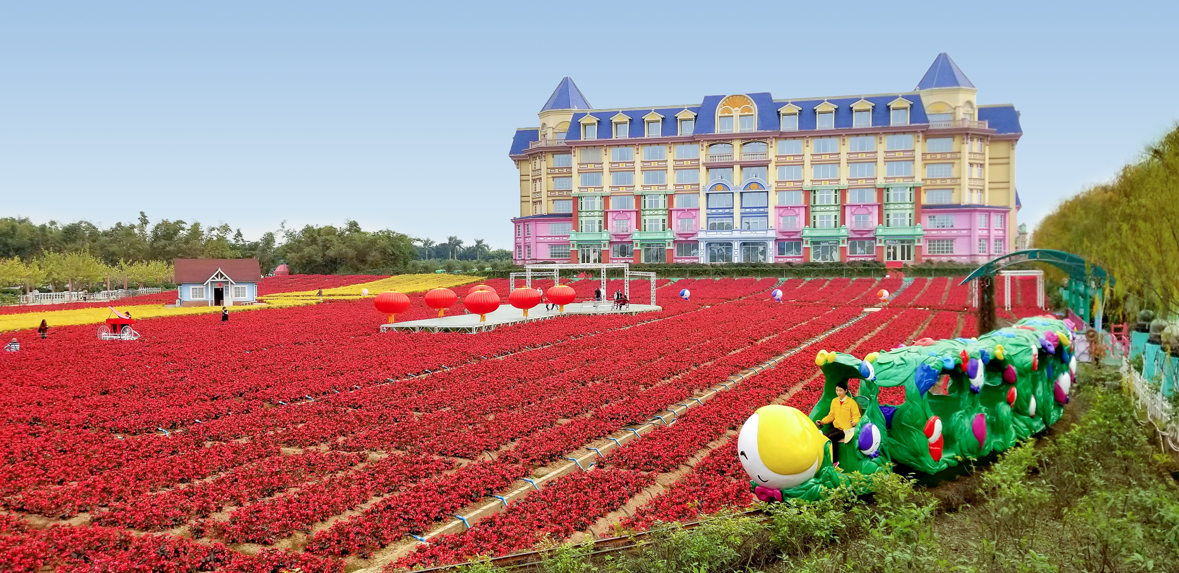 百万葵园攻略地图大全,百万葵园游玩注意事项