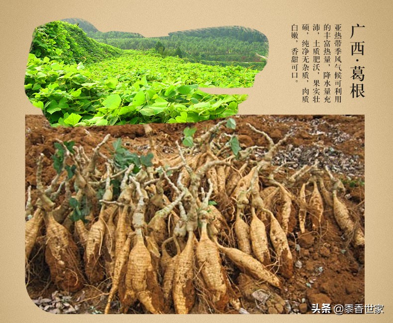 葛根魔芋木瓜粉功效,葛根木瓜粉