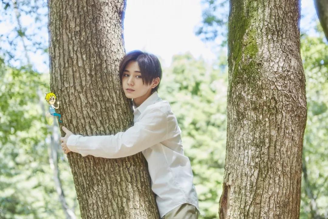 2019年春季档日剧 (2019年夏季档日剧)