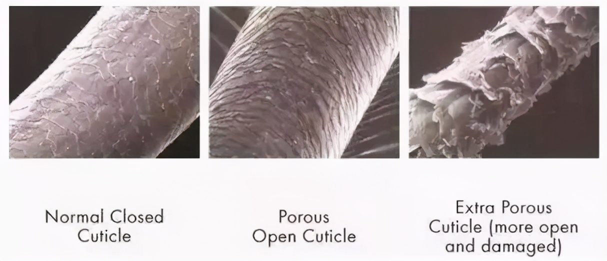 头发干燥像枯草,头发干燥像枯草一样是什么原因