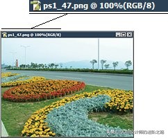 一篇文章读懂拓扑排序,一篇文章读懂摄影