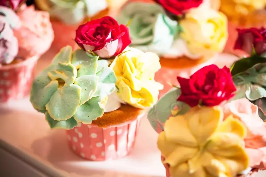 深圳希尔顿海鲜自助餐,深圳温德姆自助餐哪里好