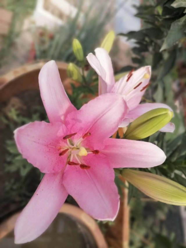 不解风情的雨季,不解风情的风