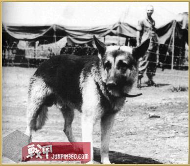 「战甲轰鸣」真实“*博兰**”——JerryMaddogShriver