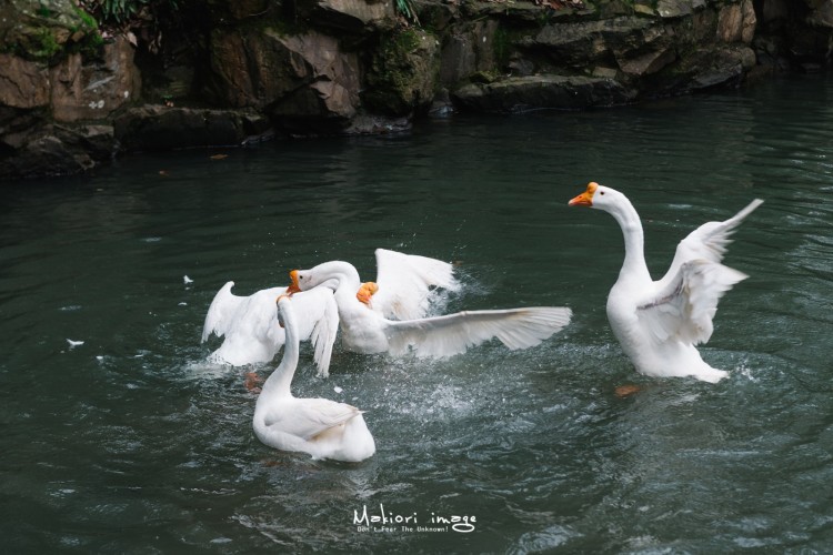 浙东运河唐诗之路,唐诗之路是三大路线之一