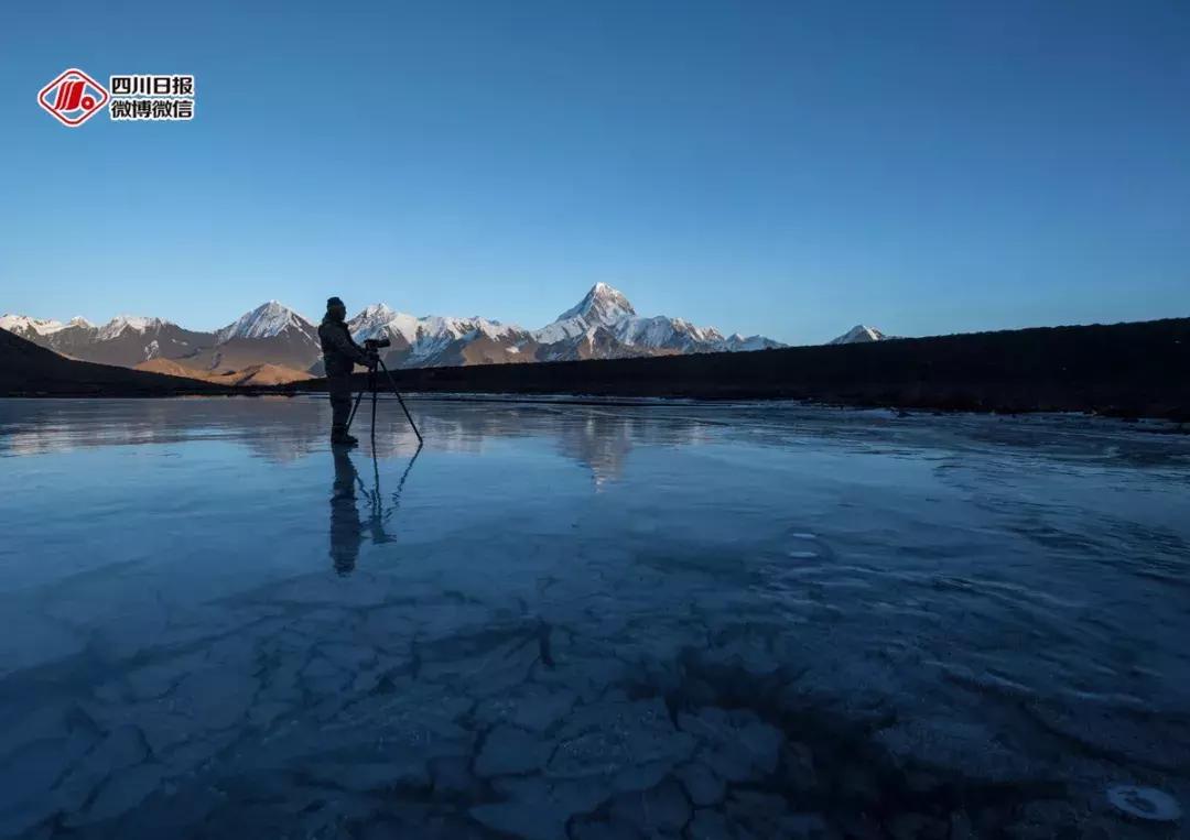 冰雪与花海齐飞！二月的四川美翻了......