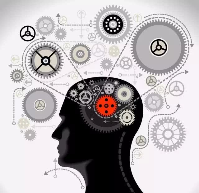 皮纹测试先天潜能总量,皮纹基因潜能测试