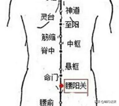 司机缓解腰痛的最佳动作,司机腰疼最快缓解方法