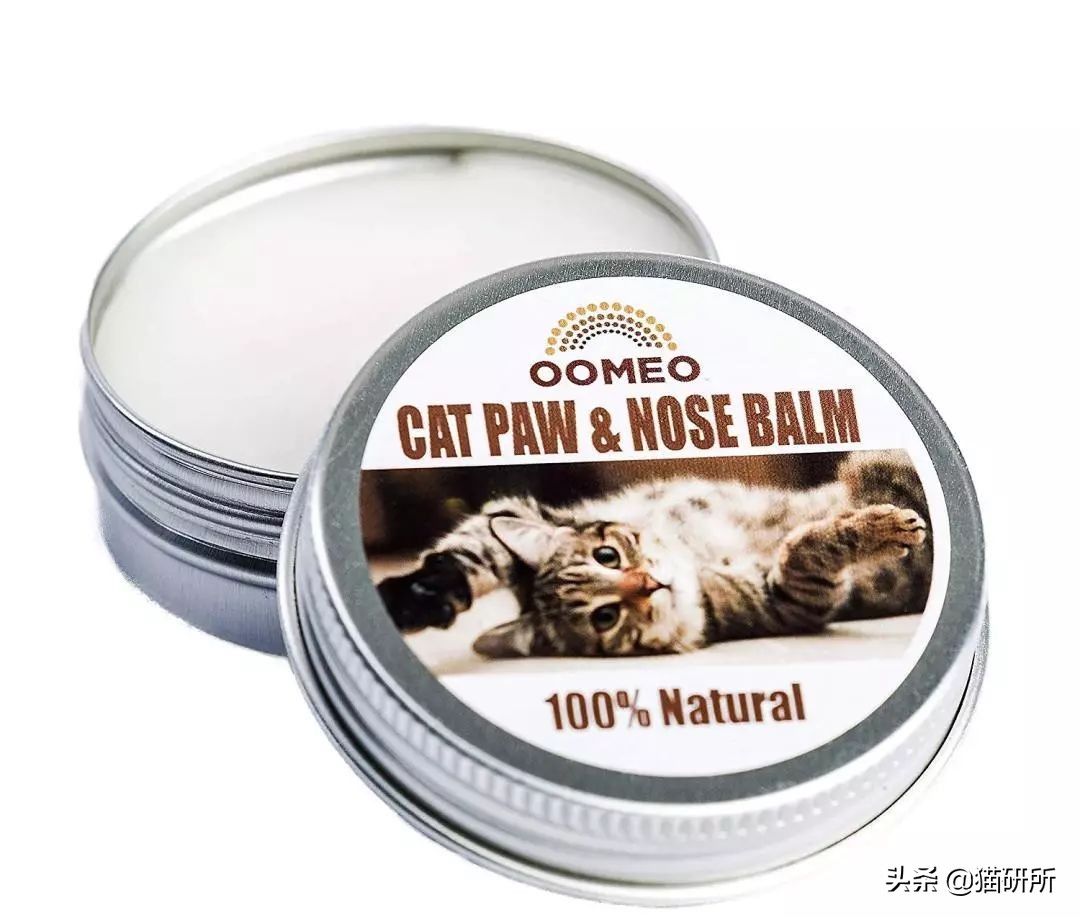 猫肉垫干裂不让人碰,猫肉垫黑色干裂