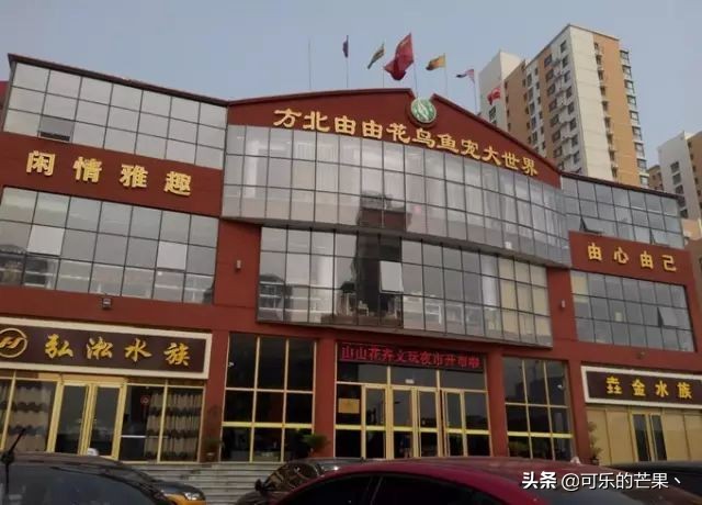 石家庄露天年货市场哪里有,石家庄哪个市场可以批发年货