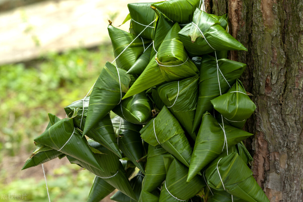 干的粽叶要怎样处理才能包粽子,粽叶怎样处理又软又不破