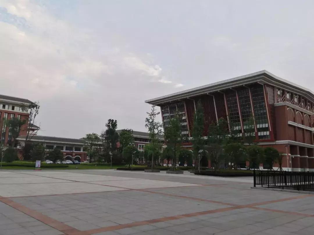 2024年全国青少年校园足球夏令营,全国青少年校园足球夏令营