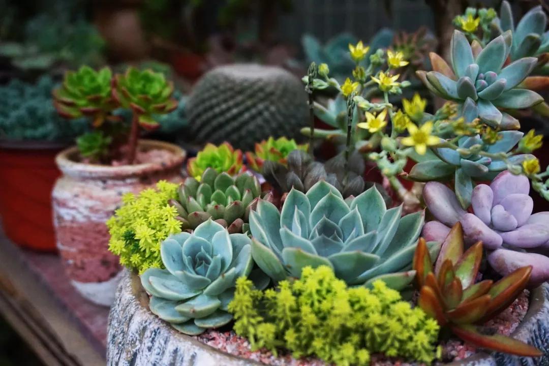 <html>
<head><title>502BadGateway</title></head>
<body>
<center><h1>502BadGateway</h1></center>
<hr><center>nginx</center>
</body>
</html>
<!--apaddingtodisableMSIEandChromefriendlyerrorpage-->
<!--apaddingtodisableMSIEandChromefriendlyerrorpage-->
<!--apaddingtodisableMSIEandChromefriendlyerrorpage-->
<!--apaddingtodisableMSIEandChromefriendlyerrorpage-->
<!--apaddingtodisableMSIEandChromefriendlyerrorpage-->
<!--apaddingtodisableMSIEandChromefriendlyerrorpage-->
