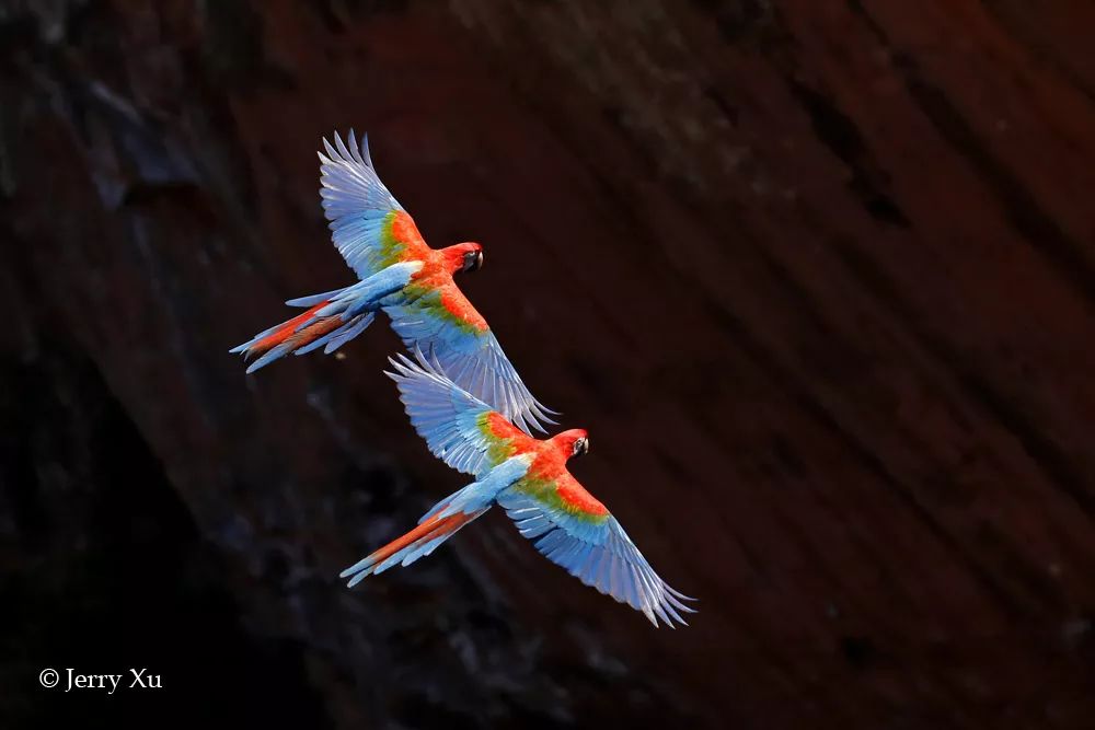 汇率起起伏伏，自然旅行跟着这张表格走，最划算