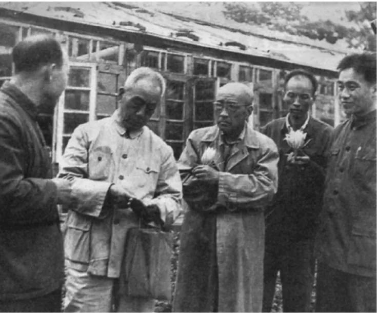 杨廷宝先生诞辰一百周年纪念文集,杨廷宝故居纪念馆