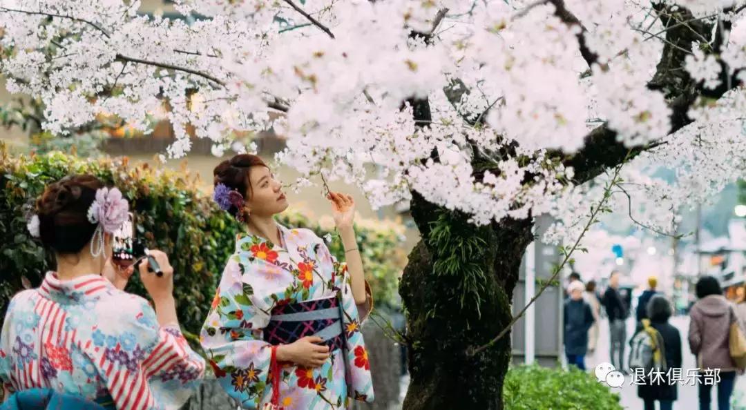 春暖花开赏玉兰,春暖花开我们依旧自由赏樱