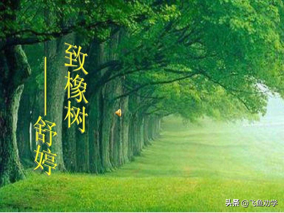 你还记得高中时最令人感动的三棵树吗：木棉树、*欢合**树、枇杷树