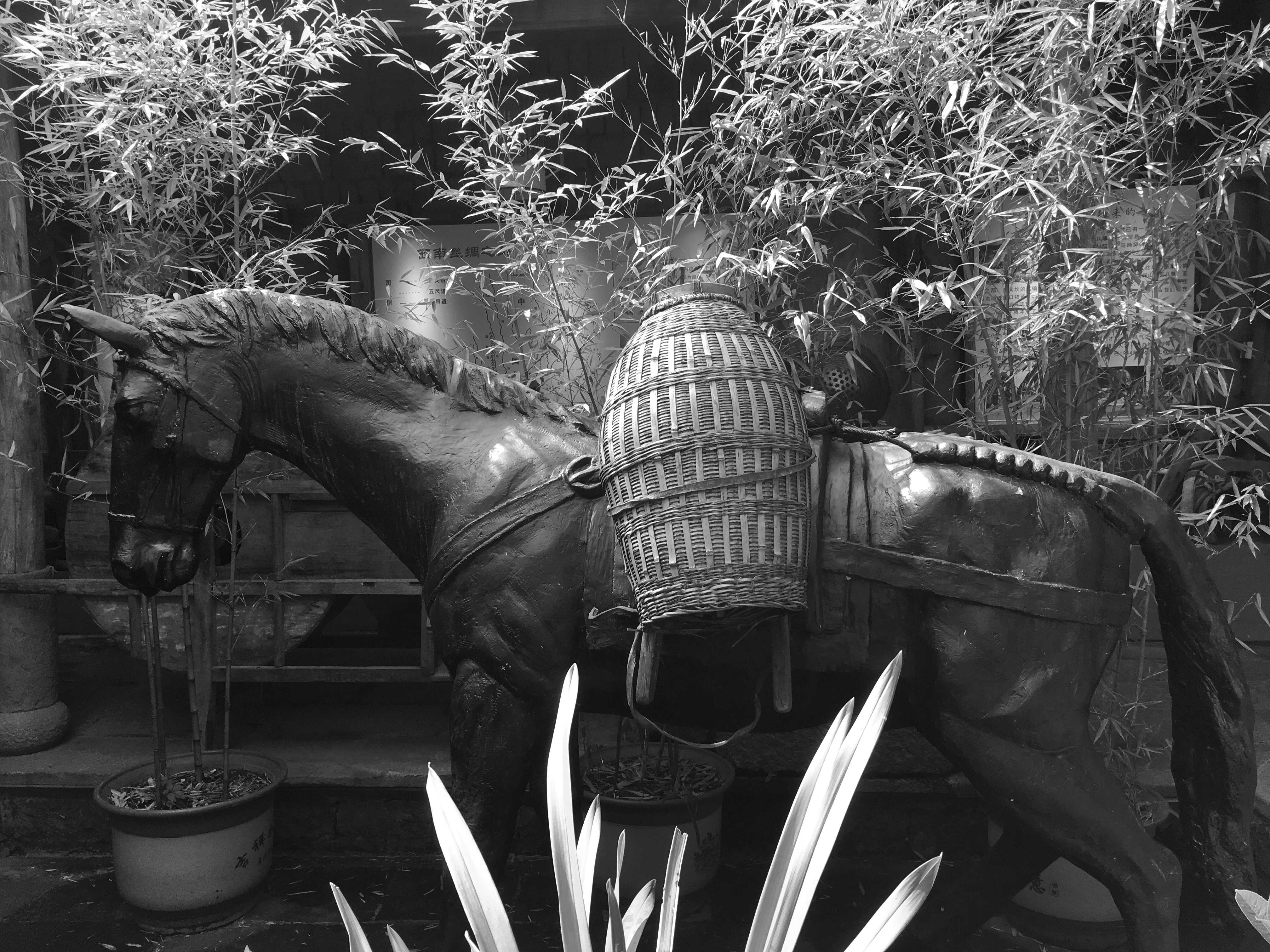 滇缅贸易的促进者--腾冲马帮，它们都在运输什么货品？