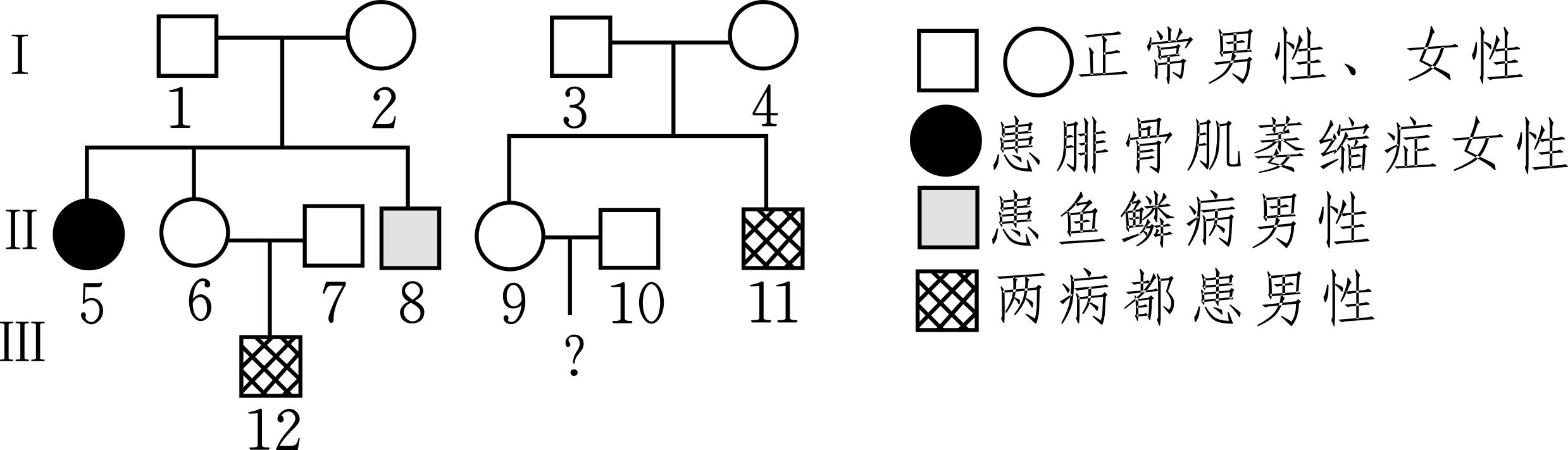 生物期中考选择题必考知识点,2017年生物期中考试题