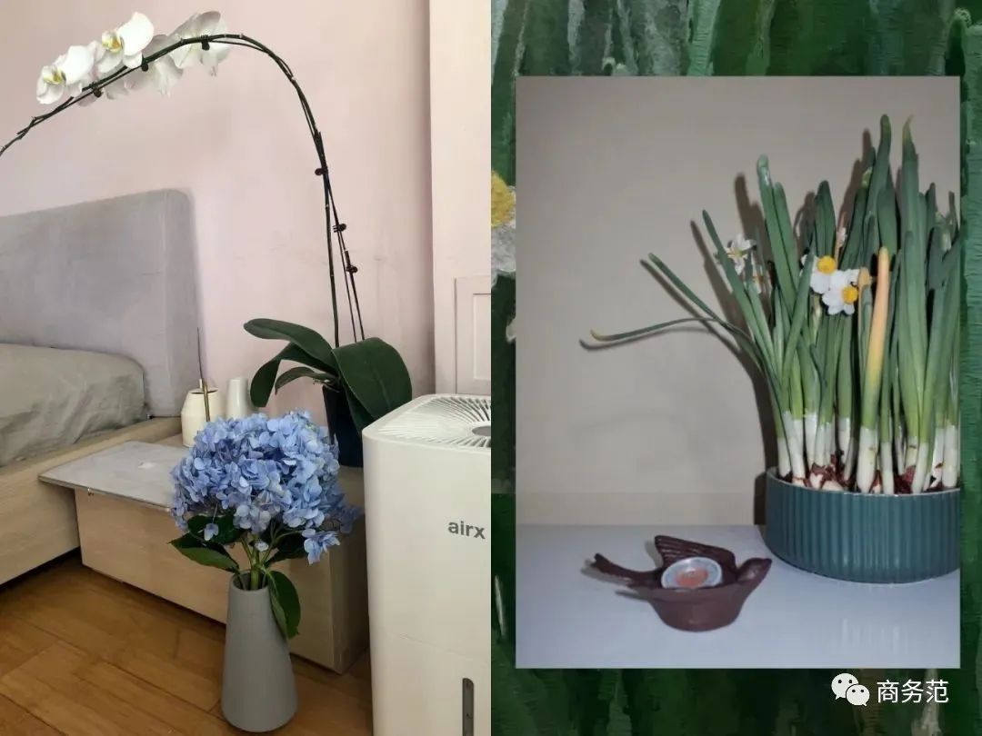 你都买过哪些超值好物,今年最值得错过的好物推荐