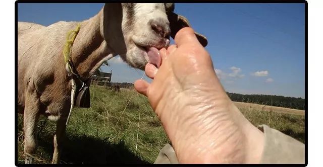 为什么有些人那么喜欢挠痒痒？