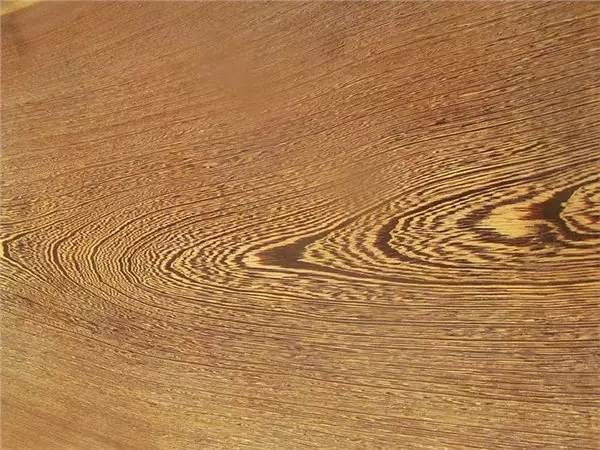 木头视频大全完整,木头全集完整版