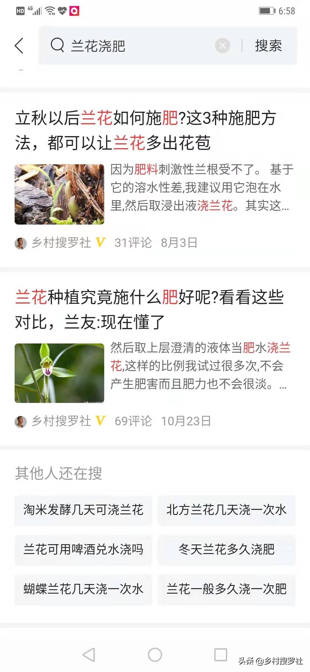 兰花施肥用什么肥料,兰花怎么施肥用什么肥料