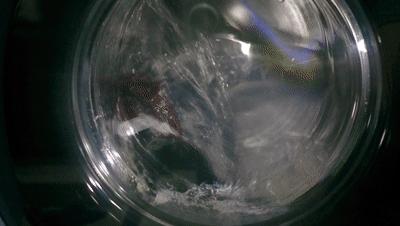 我的洗衣机系列,日立全自动洗衣机滚筒