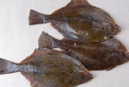 开海特价海鲜,开海的海鲜视频