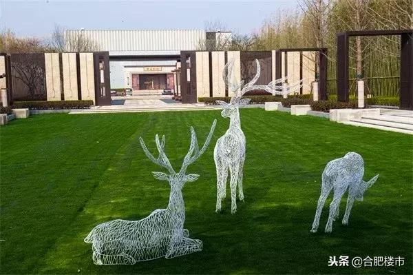 赠送面积超容积率,合肥高性价比叠墅