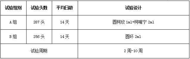 免疫联合治疗的优缺点,一针多防的猪用疫苗可靠吗