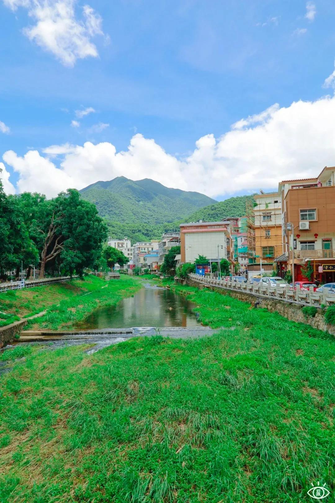 深圳这10条绿道你去过没,深圳十大绿道排行榜