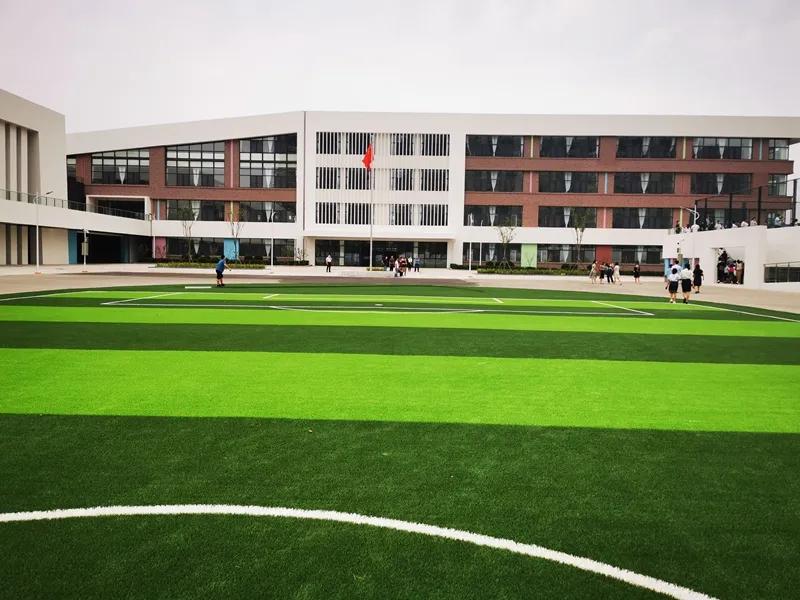 书写温暖人心的民生答卷,莱山区教育