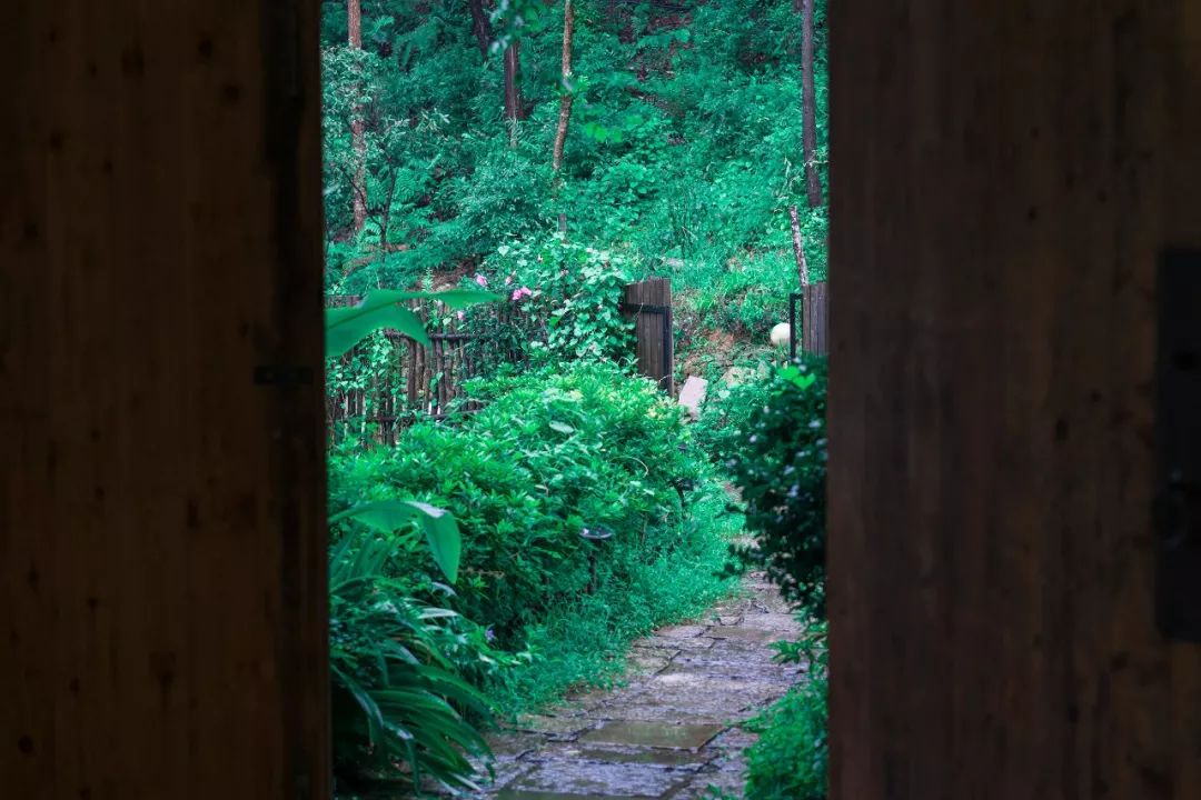 温州正规民宿名单,温州十大口碑最好民宿