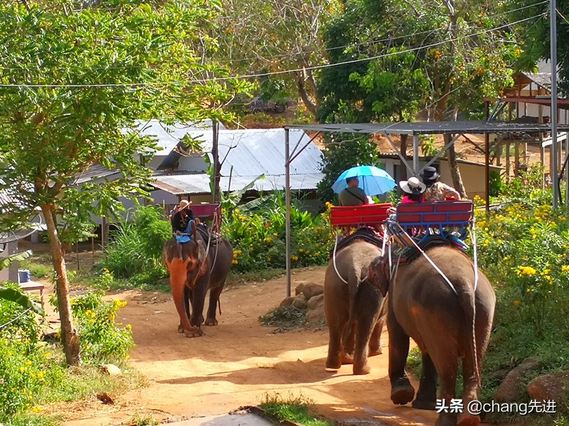 泰国普吉斯米兰跟团浮潜,泰国普吉岛自由潜水皇帝岛