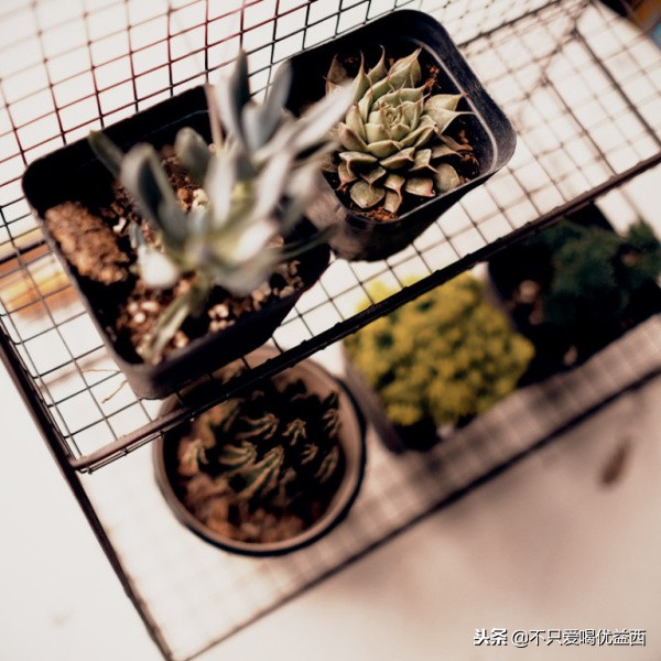 自己住得舒心最重要的方法 (一个人住生活怎么安排才舒适)