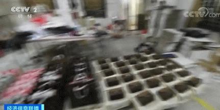 lv爱马仕真假,爱马仕和lv都是法国的吗