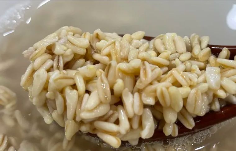 兰州最好喝的甜胚子奶茶,在兰州喝什么奶茶最好