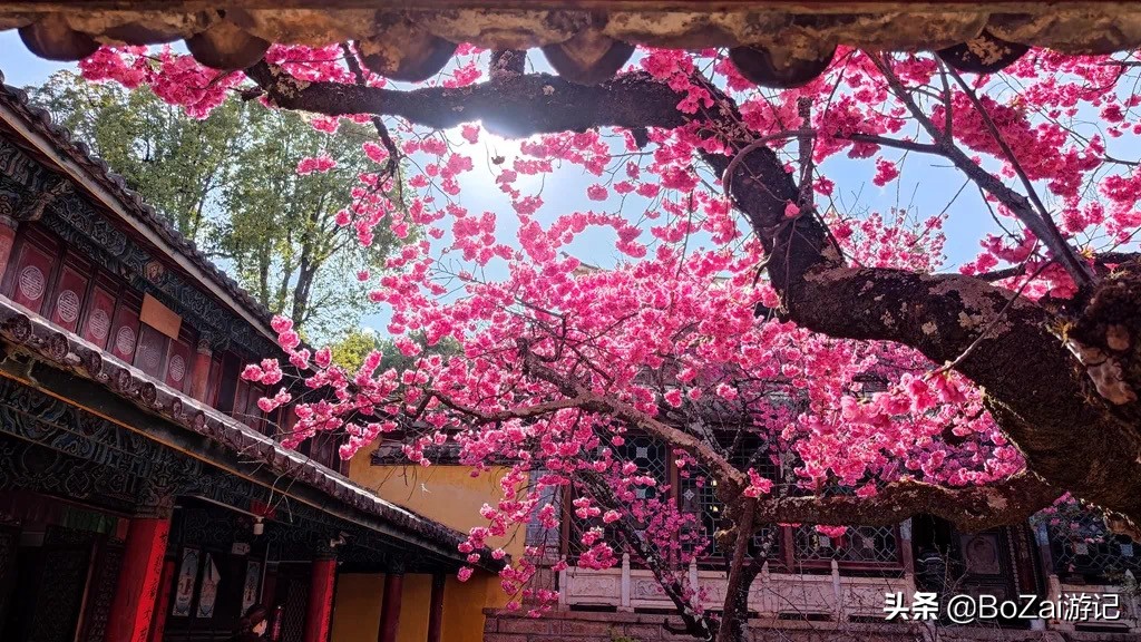 云南丽江旅游必去的景点攻略,云南丽江旅游攻略必去的景点推荐