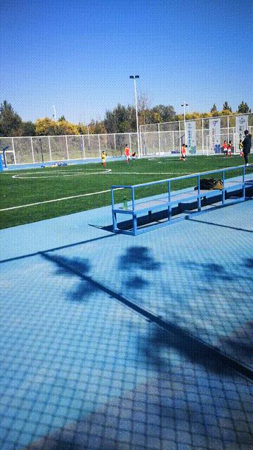 廊坊三叶公园项目信息,廊坊三叶公园附近