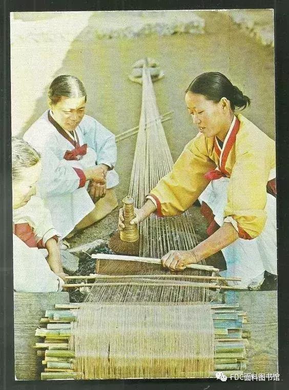 能用来制作面料的植物知多少？（下）