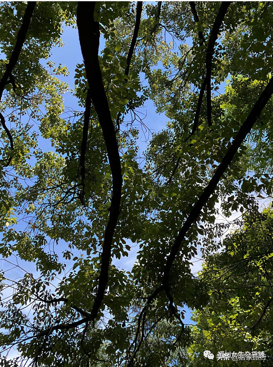 7/10，凌晨夜深码字进行时，时间里的小确幸