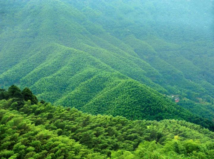 好奇旅游景点,赤水丹霞景区有哪些景点