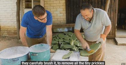 十大致癌口红排名,十大致癌的口红