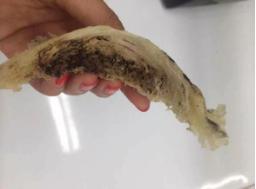 燕窝真假用什么方法鉴别,燕窝真假鉴别方法